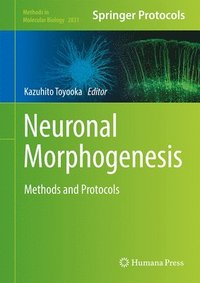 bokomslag Neuronal Morphogenesis