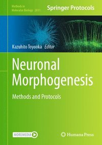 bokomslag Neuronal Morphogenesis