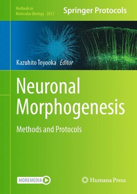 bokomslag Neuronal Morphogenesis