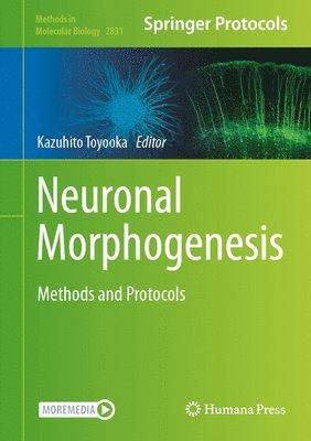 Neuronal Morphogenesis 1