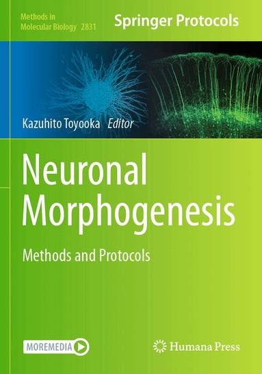 Kazuhito Toyooka - Neuronal Morphogenesis, Häftad