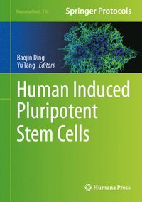 bokomslag Human Induced Pluripotent Stem Cells