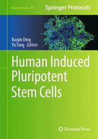 bokomslag Human Induced Pluripotent Stem Cells