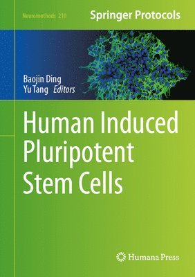 Human Induced Pluripotent Stem Cells 1