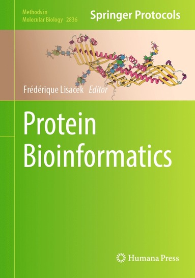 bokomslag Protein Bioinformatics