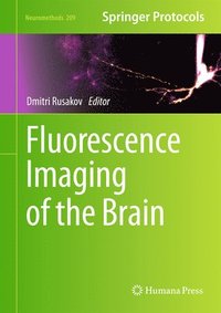bokomslag Fluorescence Imaging of the Brain