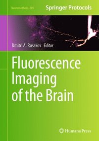 bokomslag Fluorescence Imaging of the Brain