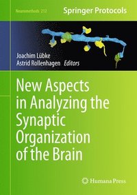 bokomslag New Aspects in Analyzing the Synaptic Organization of the Brain