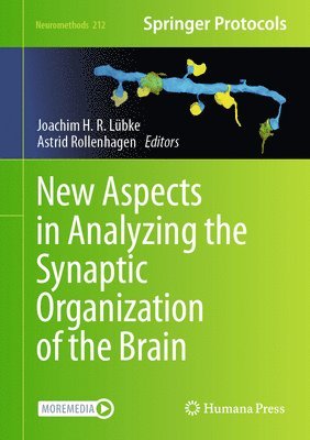 bokomslag New Aspects in Analyzing the Synaptic Organization of the Brain