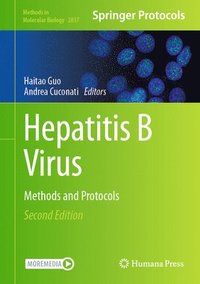 bokomslag Hepatitis B Virus