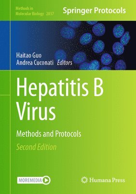 Hepatitis B Virus 1