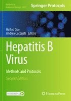 bokomslag Hepatitis B Virus