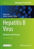 bokomslag Hepatitis B Virus: Methods and Protocols