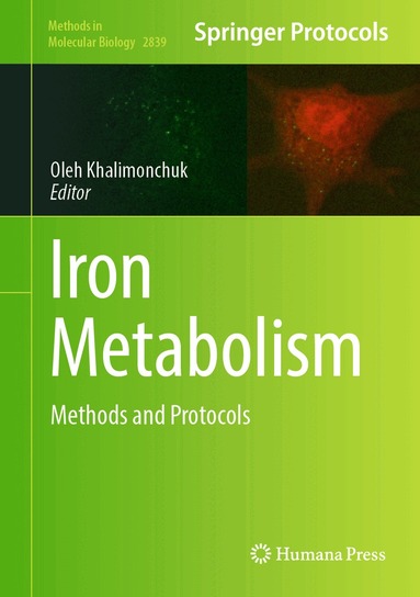 Oleh Khalimonchuk - Iron Metabolism, Inbunden