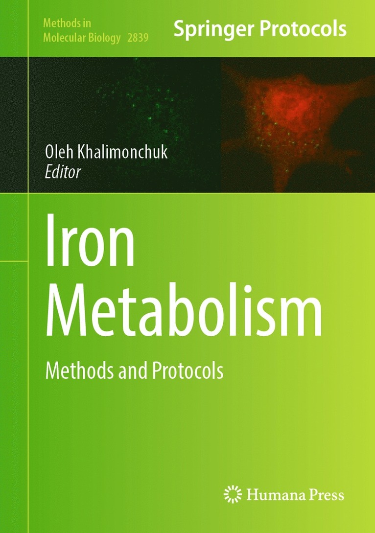 Oleh Khalimonchuk - Iron Metabolism, Inbunden