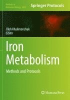 bokomslag Iron Metabolism