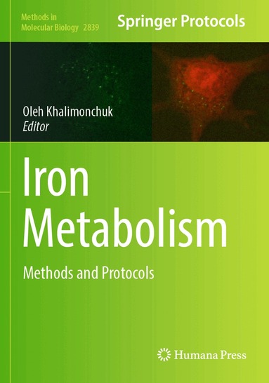 Oleh Khalimonchuk - Iron Metabolism, Häftad