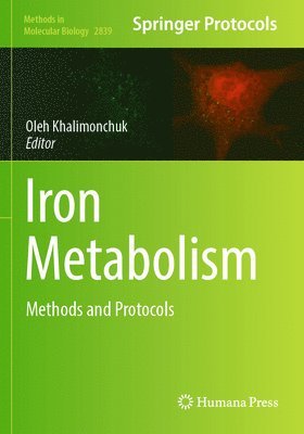 Iron Metabolism
