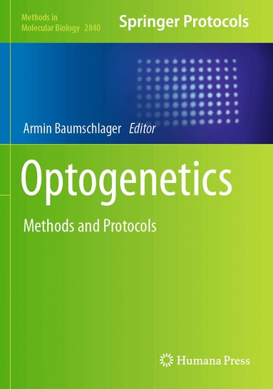 Armin Baumschlager - Optogenetics, Häftad