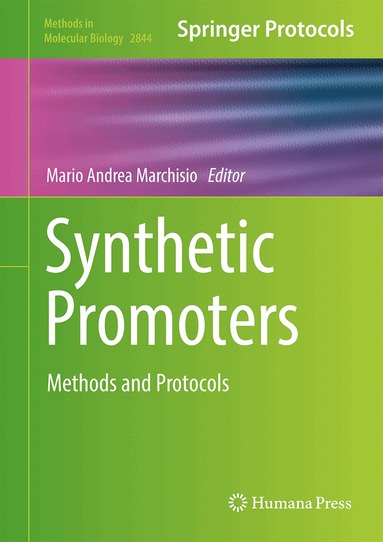 Mario Andrea Marchisio - Synthetic Promoters, Inbunden