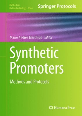 Mario Andrea Marchisio - Synthetic Promoters, Inbunden