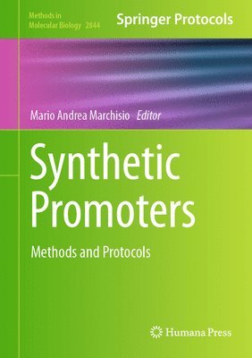 Synthetic Promoters 1