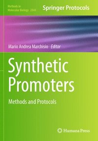 bokomslag Synthetic Promoters