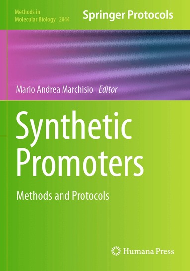 Mario Andrea Marchisio - Synthetic Promoters, Häftad