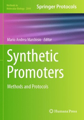 bokomslag Synthetic Promoters