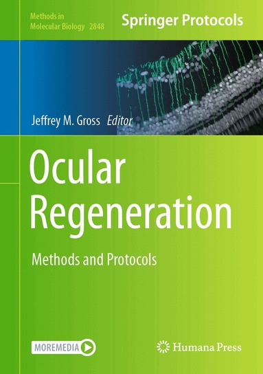 Jeffrey M. Gross - Ocular Regeneration, Inbunden