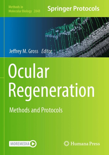Jeffrey M. Gross - Ocular Regeneration, Häftad