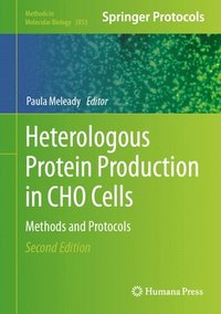 bokomslag Heterologous Protein Production in CHO Cells