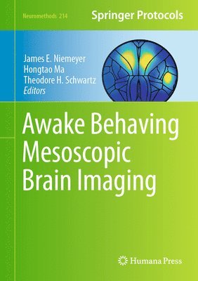 bokomslag Awake Behaving Mesoscopic Brain Imaging