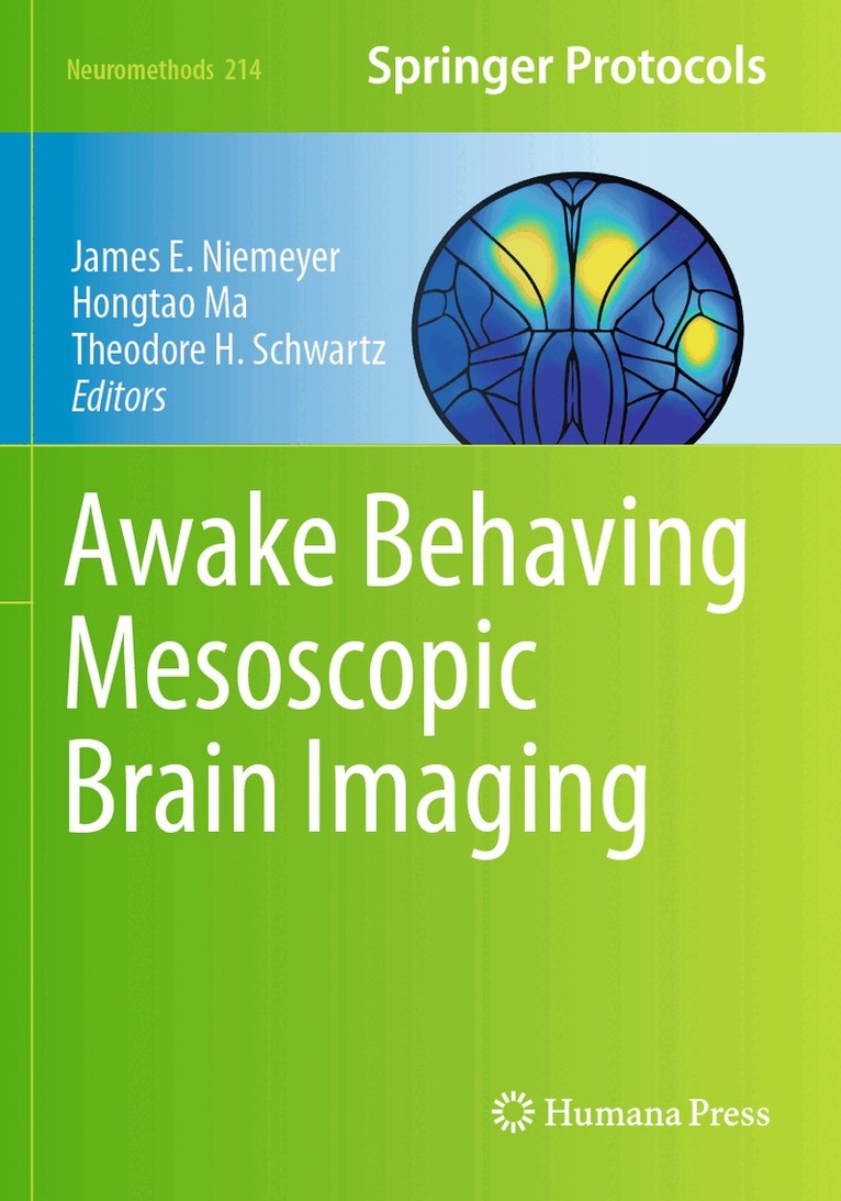 James E. Niemeyer, Hongtao Ma, Theodore H. Schwartz - Awake Behaving Mesoscopic Brain Imaging, Häftad. Tillgänglighet: Lägg i varukorg