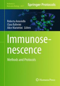 bokomslag Immunosenescence