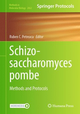 Ruben C. Petreaca - Schizosaccharomyces pombe, Inbunden