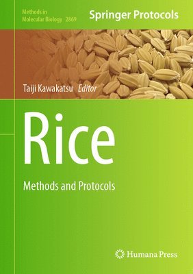 Rice 1