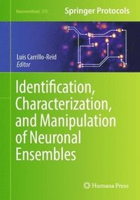 bokomslag Identification, Characterization, and Manipulation of Neuronal Ensembles