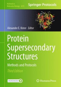 bokomslag Protein Supersecondary Structures