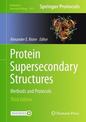 bokomslag Protein Supersecondary Structures