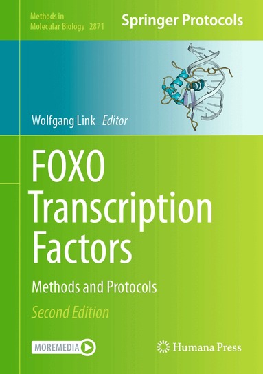 Wolfgang Link - FOXO Transcription Factors, Inbunden