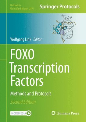Wolfgang Link - FOXO Transcription Factors, Inbunden
