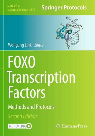 Wolfgang Link - FOXO Transcription Factors, Häftad