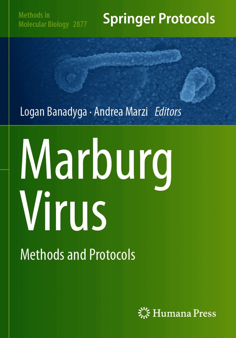 Marburg Virus