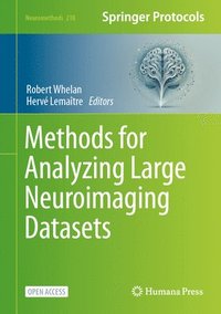 bokomslag Methods for Analyzing Large Neuroimaging Datasets