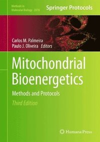 bokomslag Mitochondrial Bioenergetics