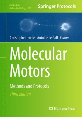 bokomslag Molecular Motors