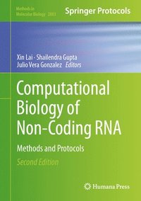 bokomslag Computational Biology of Non-Coding RNA