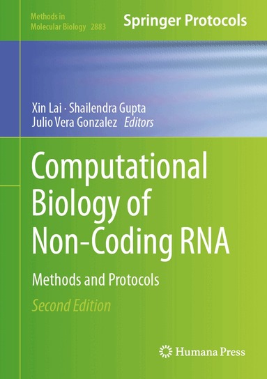 Xin Lai, Shailendra Gupta, Julio Vera Gonzalez - Computational Biology of Non-Coding RNA, Inbunden