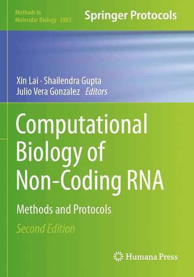 Xin Lai, Shailendra Gupta, Julio Vera Gonzalez - Computational Biology of Non-Coding RNA, Häftad